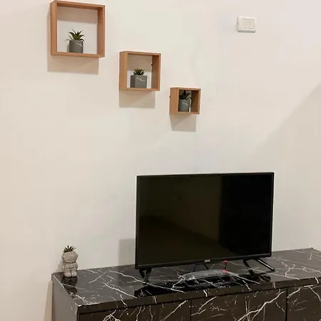 Xexi 2 *